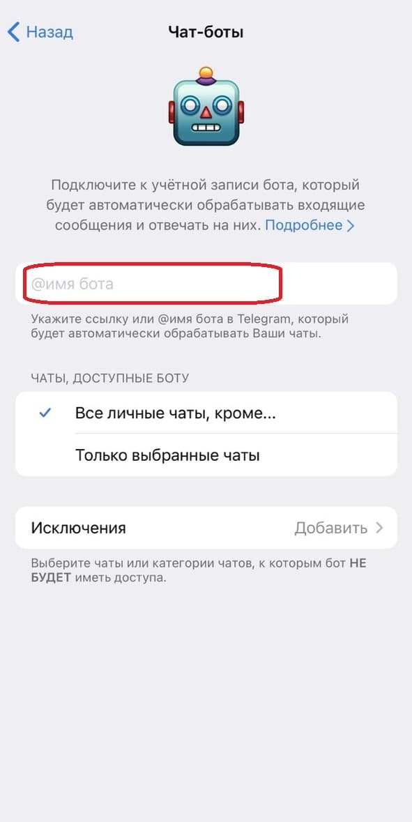 Имя бота