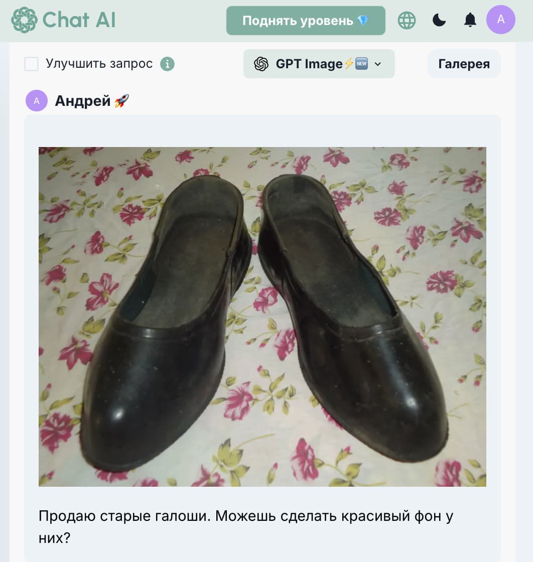 Галоши