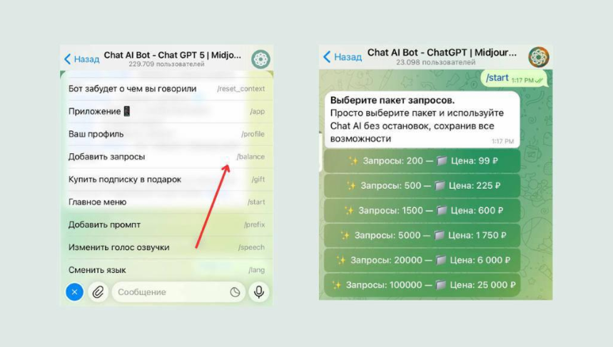 pay_additional_requests_bot