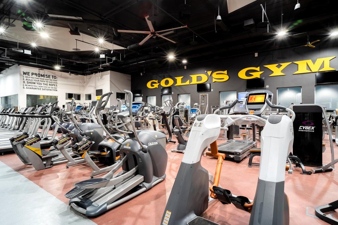 Изображение №10 компании Gold’s Gym