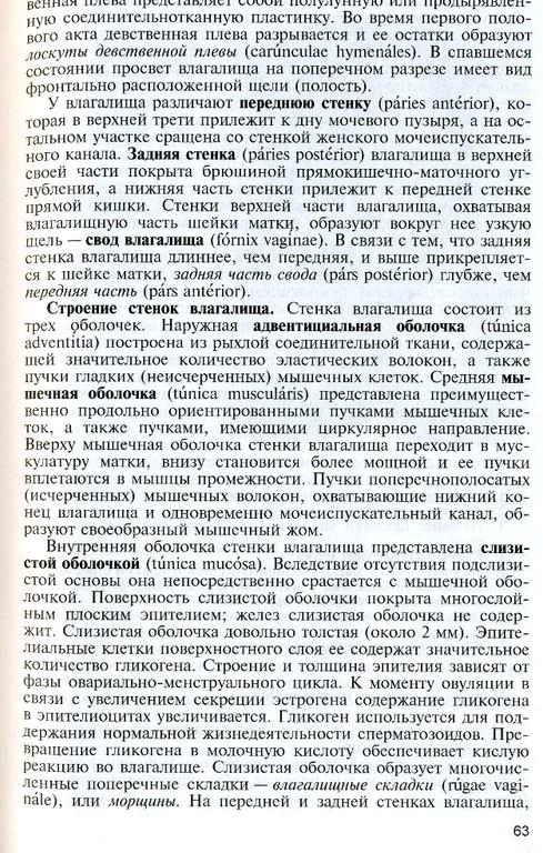 Изображение №11 компании Международная Федерация Вумбилдинга им. В.Л. Муранивского