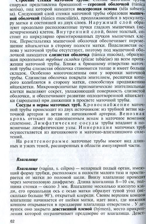 Изображение №13 компании Международная Федерация Вумбилдинга им. В.Л. Муранивского