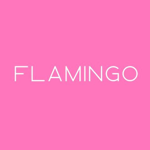 Изображение №1 компании Студия балета и растяжки flamingo.stretching