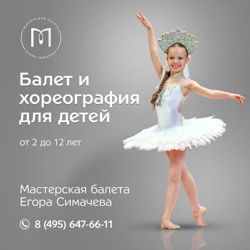 Изображение №1 компании Мастерская балета Егора Симачева