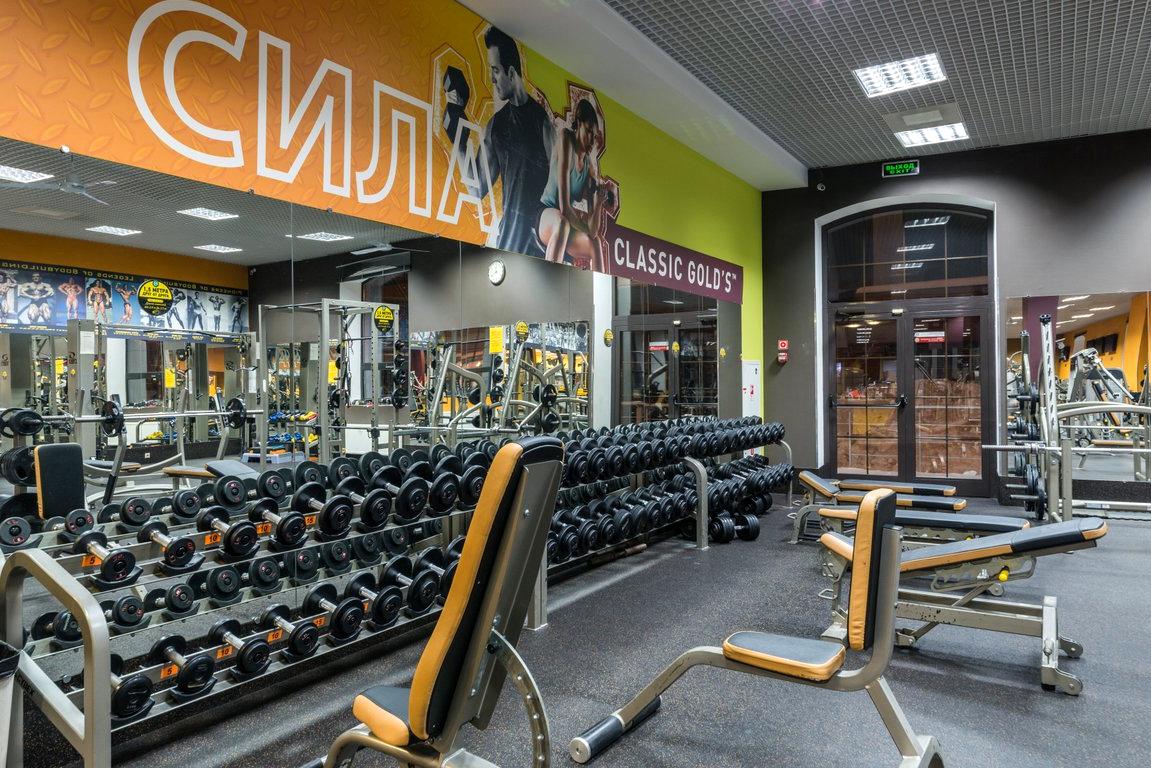 Изображение №11 компании Gold’s Gym