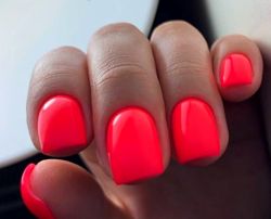 Изображение №1 компании MK-Nails