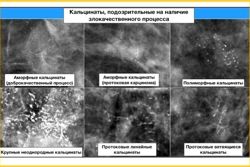 Изображение №2 компании Союз