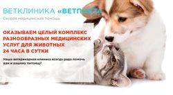 Изображение №2 компании ВетПост