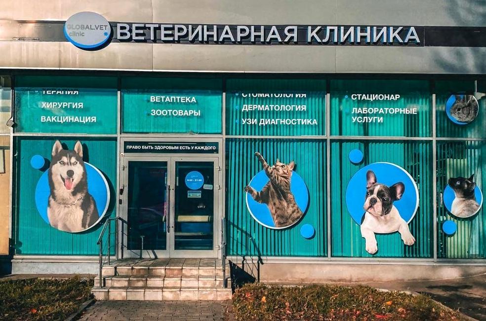 Изображение №1 компании GLOBALVET clinic