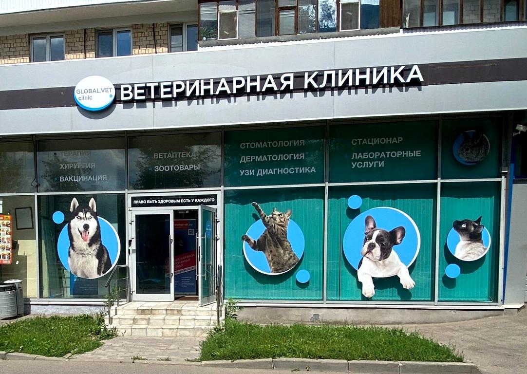 Изображение №3 компании GLOBALVET clinic