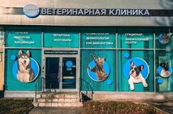 Изображение №1 компании GLOBALVET clinic