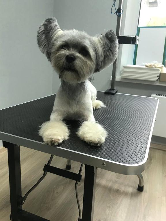 Изображение №20 компании Barber Pet