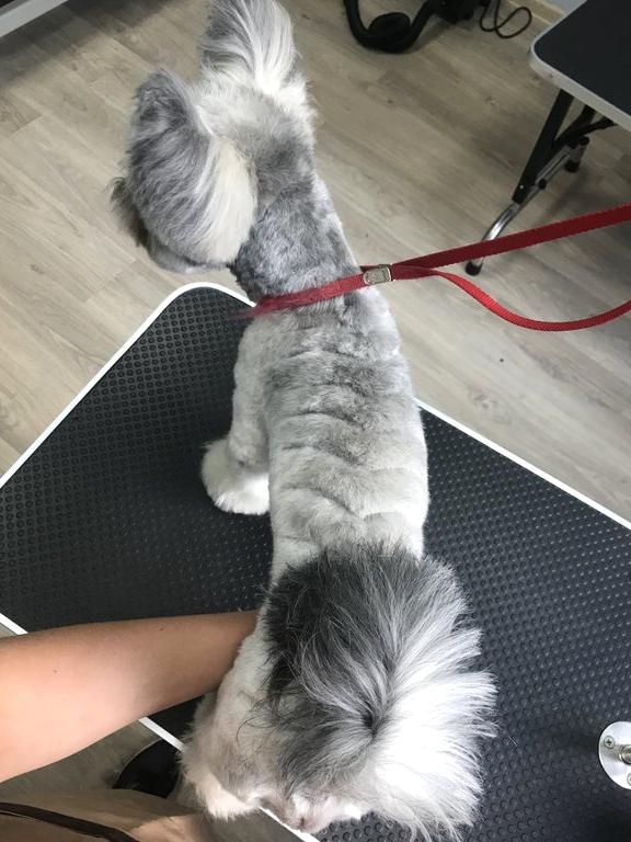 Изображение №7 компании Barber Pet