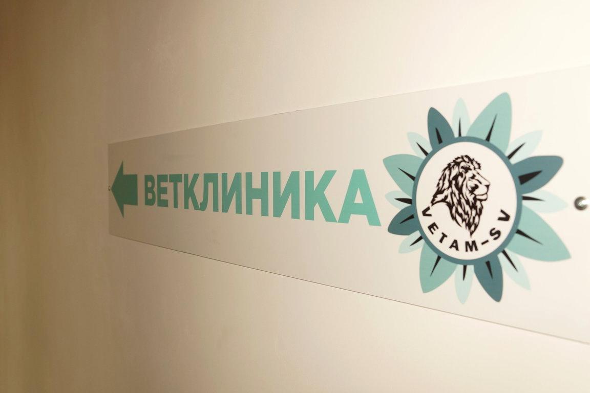 Ветам св. Ветклиника Бауманская.