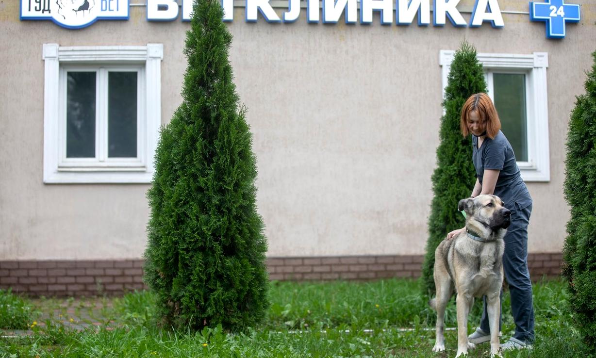 Ветклиника на ул Московской Балабаново.