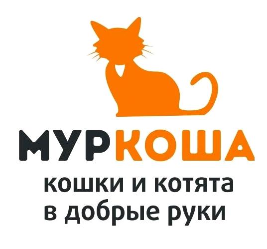 Изображение №6 компании Муркоша