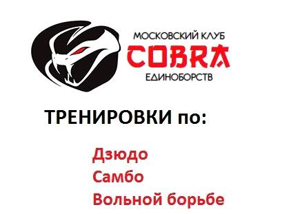 Изображение №5 компании Cobra