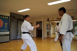 Изображение №4 компании Nihon shotokan karate-do federation