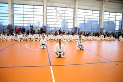 Изображение №5 компании Nihon shotokan karate-do federation