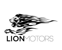 Изображение №2 компании Lion Motors