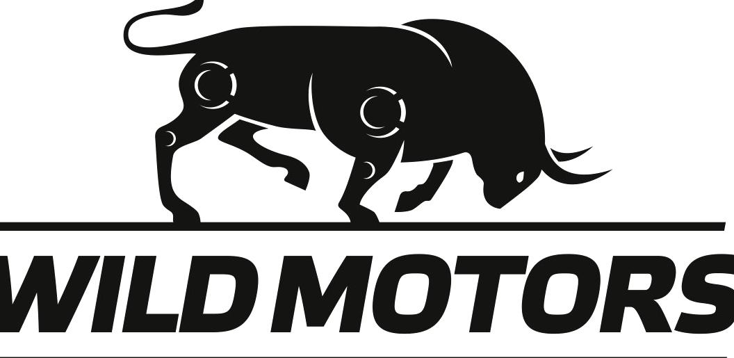 Изображение №6 компании Wild Motors