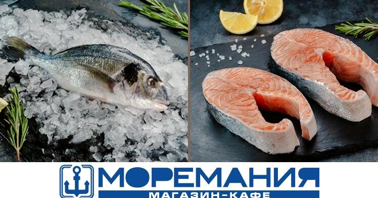 Изображение №12 компании Моремания