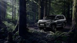 Изображение №5 компании Lexus Рольф Волгоградский