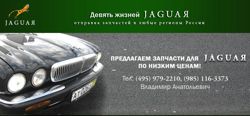 Изображение №3 компании Девять жизней jlr