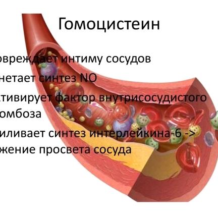 Изображение №13 компании Клиника Эхинацея