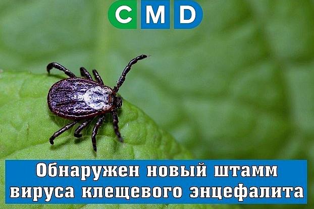 Изображение №5 компании CMD