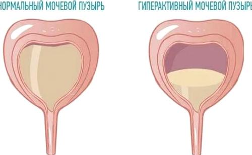 Изображение №15 компании ДеВита