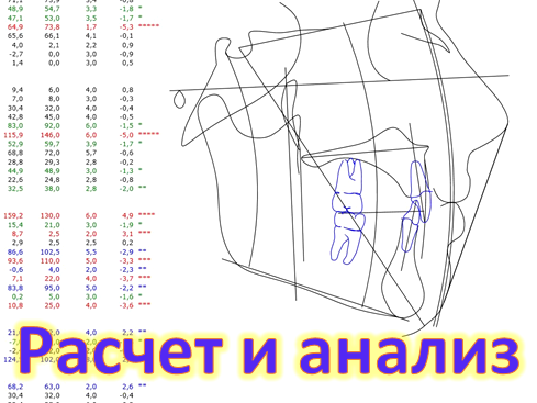 Изображение №4 компании Рен-качество