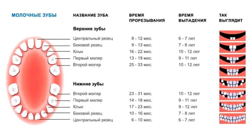 Изображение №12 компании Стоматологическая клиника Александра Горбачева