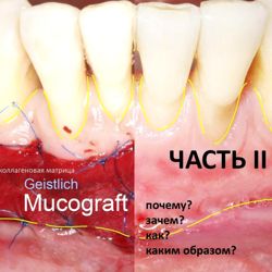 Изображение №1 компании Clinic in