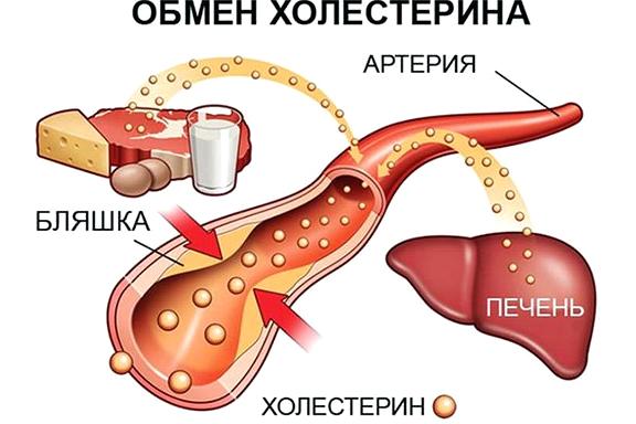 Изображение №8 компании RE:fit