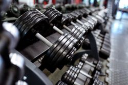 Изображение №5 компании Powerhouse gym