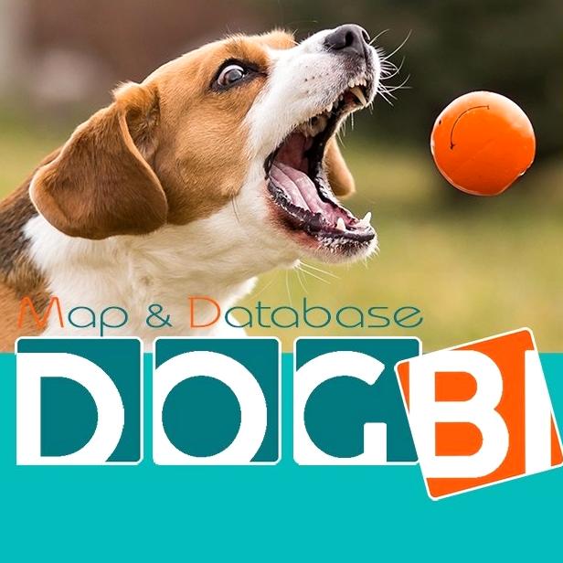 Изображение №3 компании DOGBI