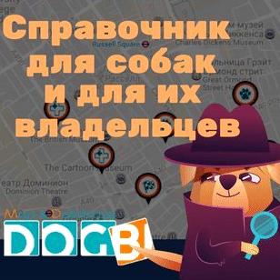 Изображение №5 компании DOGBI