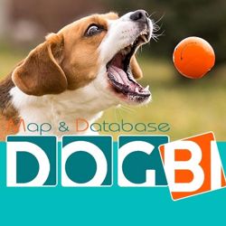 Изображение №4 компании DOGBI