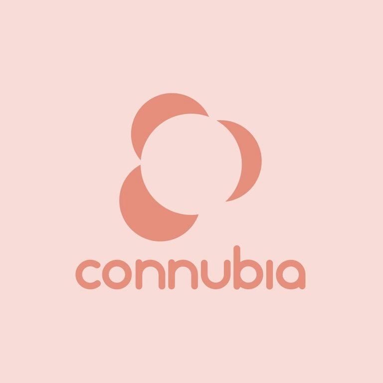 Изображение №15 компании Connubia