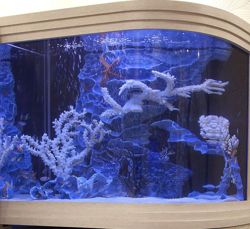 Изображение №1 компании Студия современного аквариума