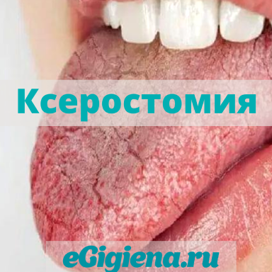 Изображение №5 компании Egigiena.ru