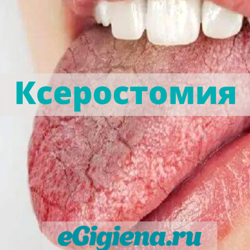 Изображение №4 компании Egigiena.ru