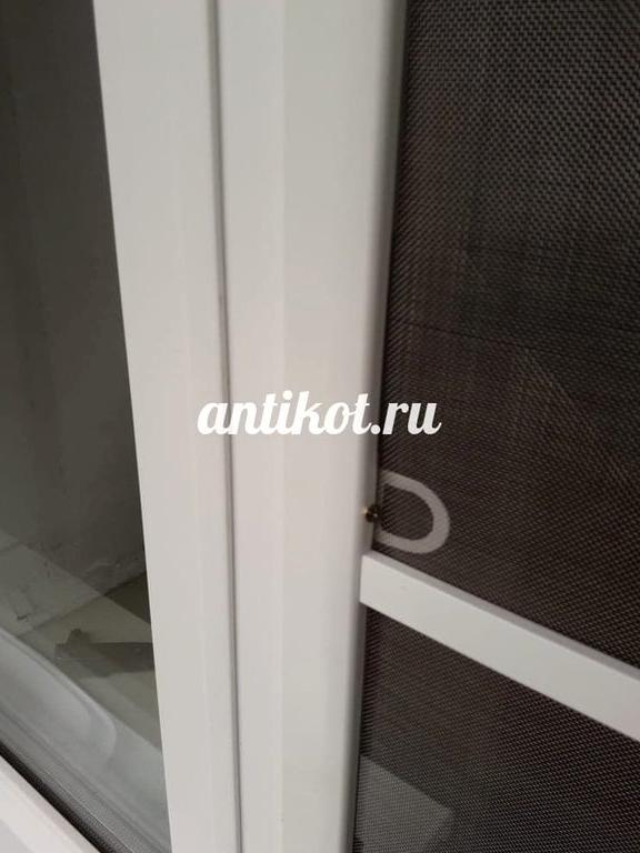 Изображение №7 компании Antikot.ru
