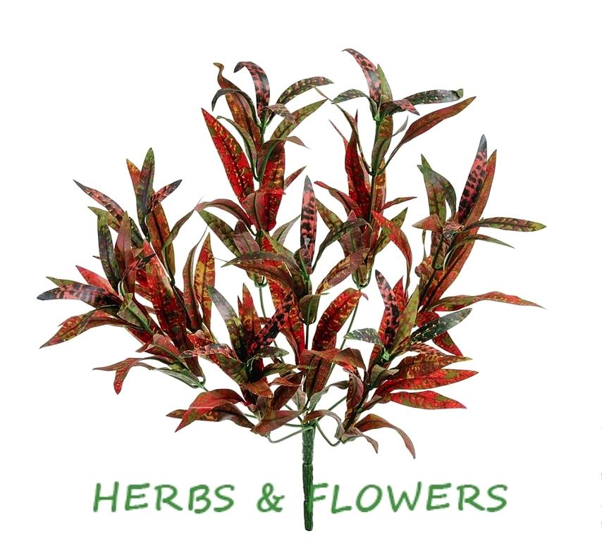 Изображение №8 компании Herbs&flowers