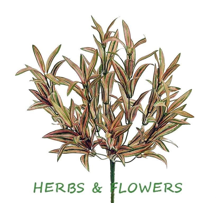 Изображение №4 компании Herbs&flowers