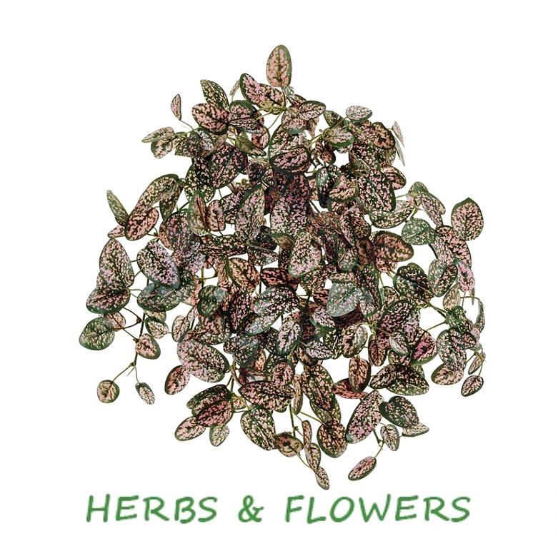 Изображение №3 компании Herbs&flowers