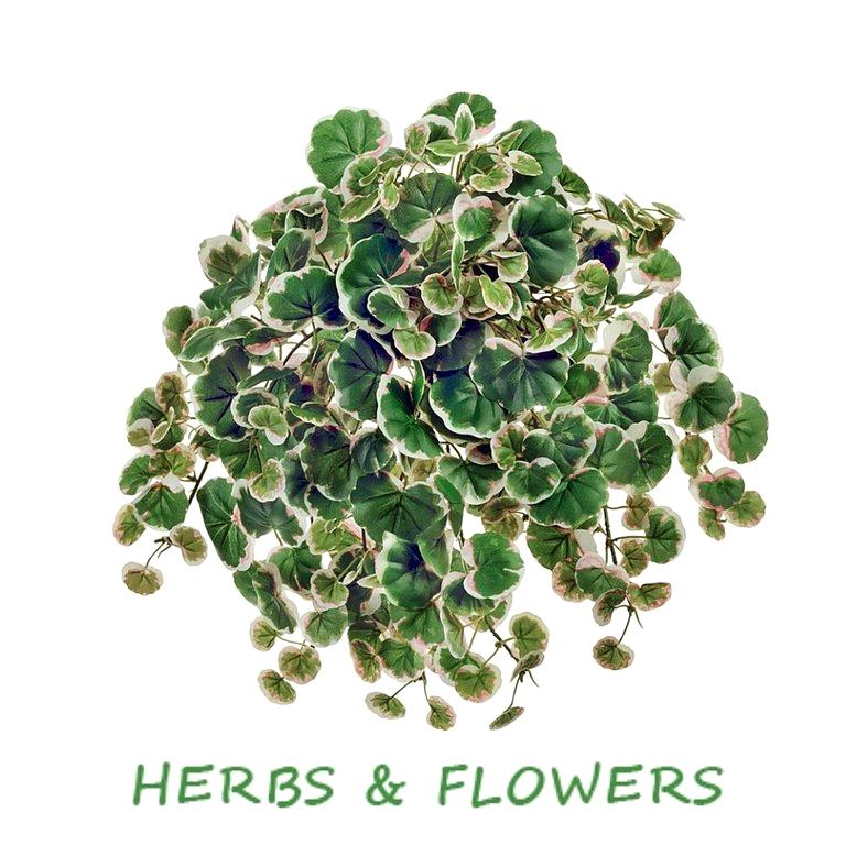 Изображение №2 компании Herbs&flowers