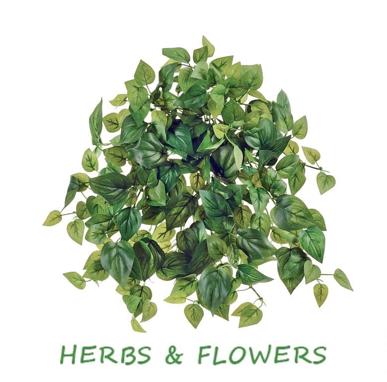 Изображение №6 компании Herbs&flowers