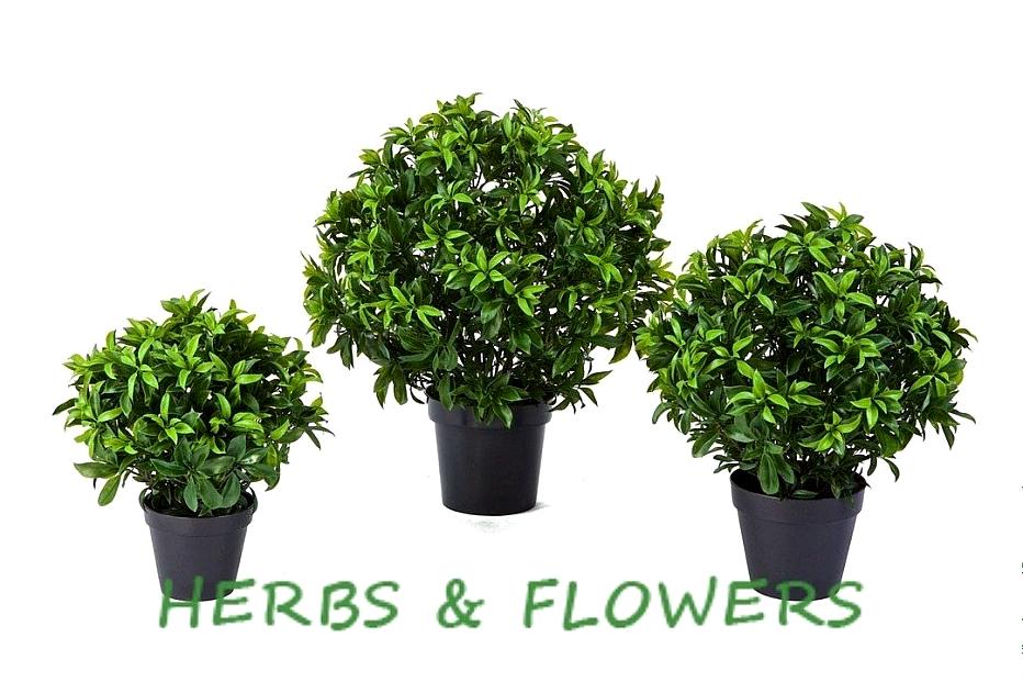 Изображение №13 компании Herbs&flowers